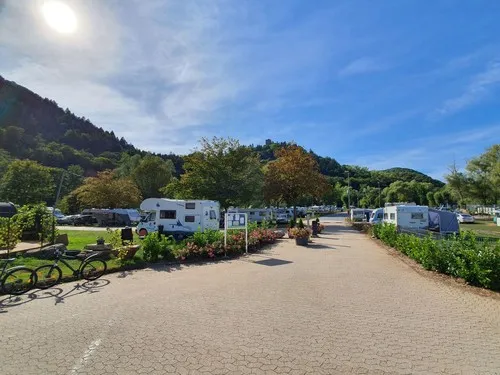 Moselcampingplatz Alf 5
