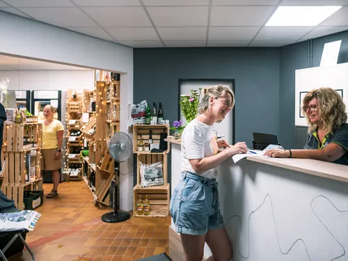 Moselcampingplatz Alf 7