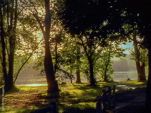 Muncicipal Camping Cenac-et-St.Julien 5