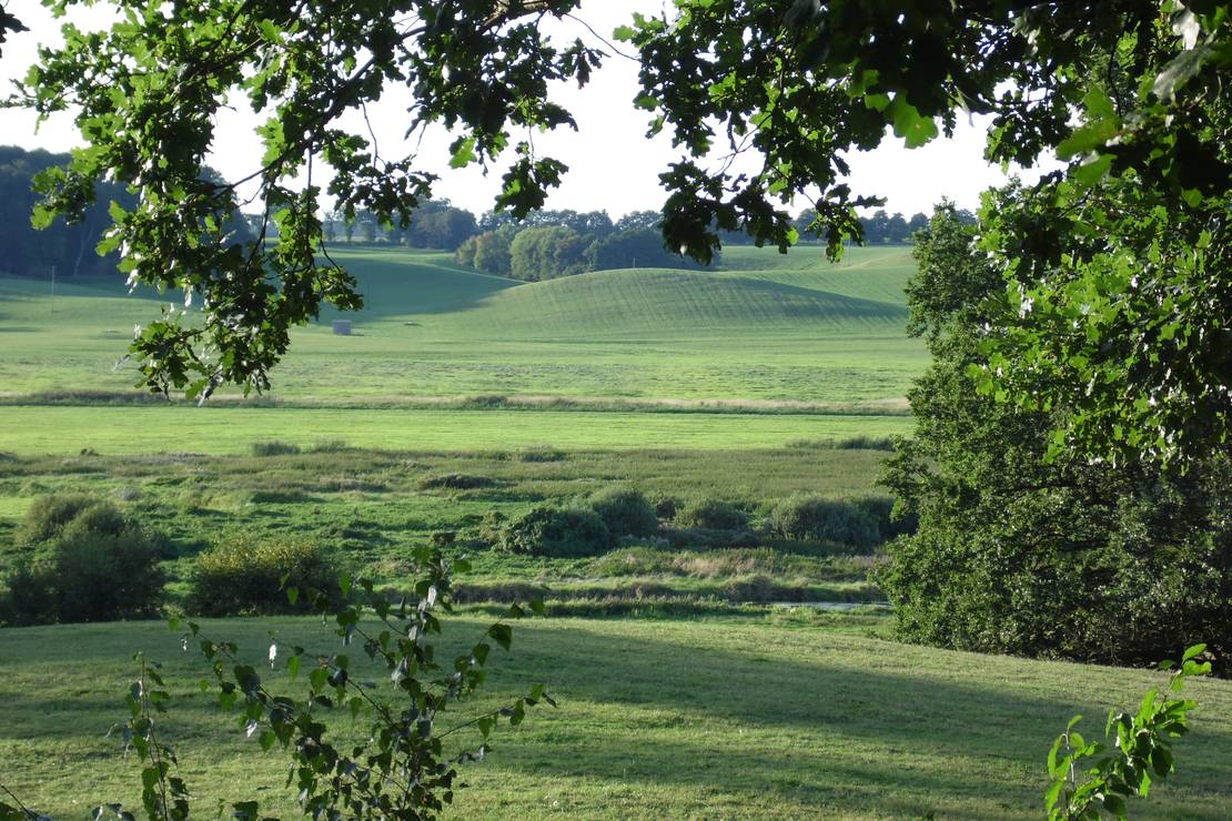 Natur- und Erholungshof Recknitzberg 4