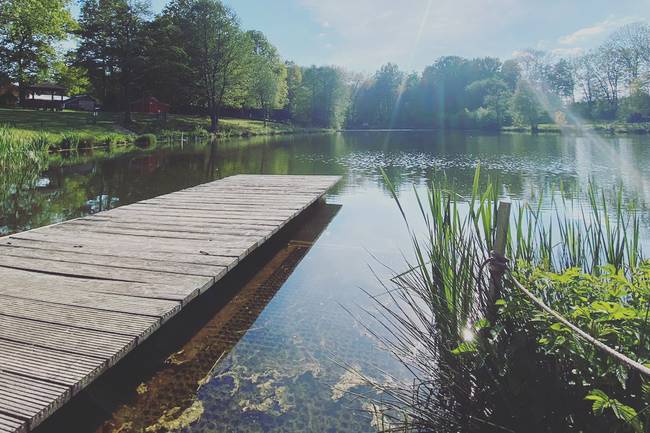 Blick auf den Teich :)
