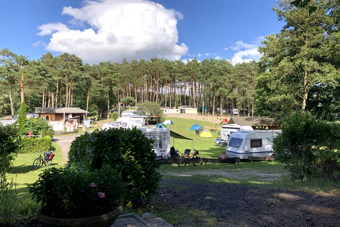 Naturcamp e.V. Röddelin 4