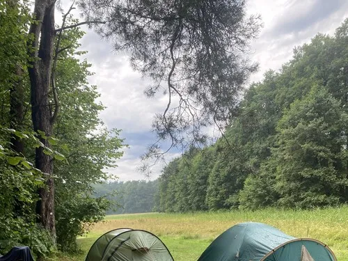 NaturCamping am Ellbogensee 7