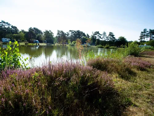 Naturcamping Lüneburger Heide 5