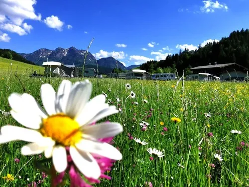 Naturcamping Maurerhäusl 5