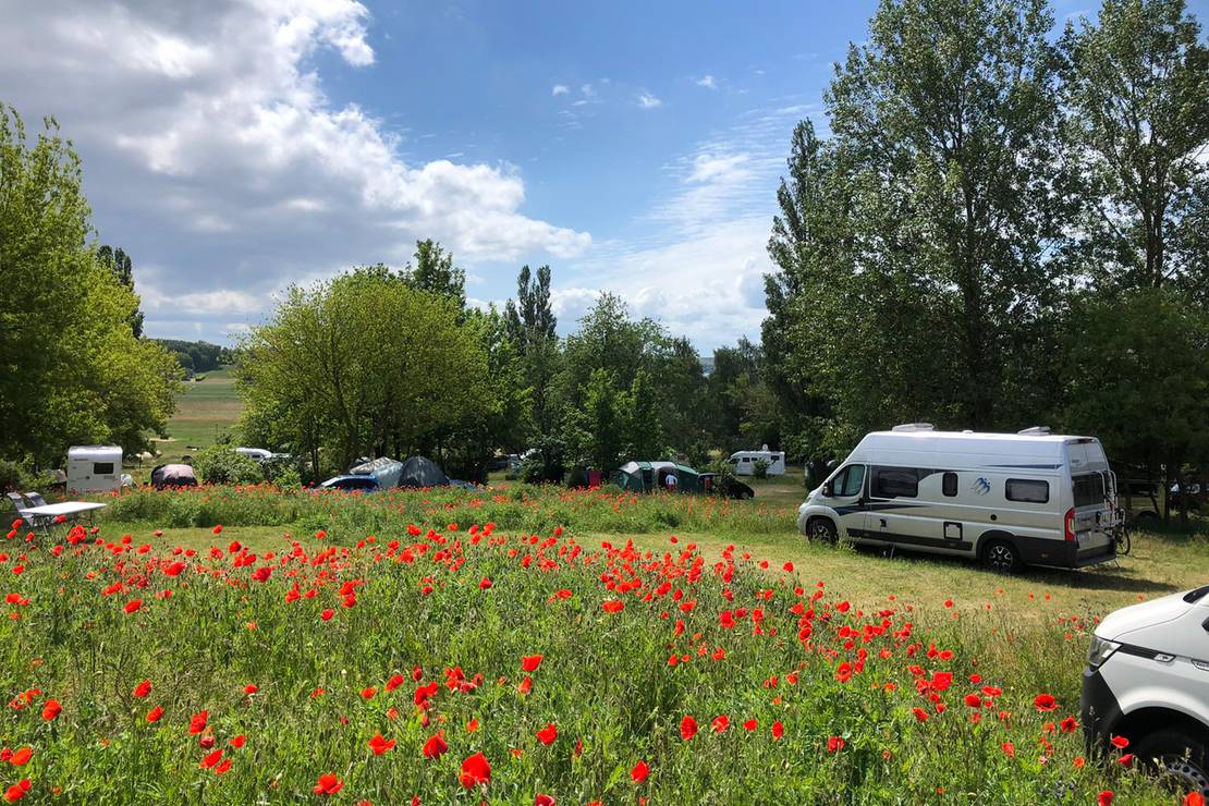 Naturcampingplatz Alt Reddevitz 5
