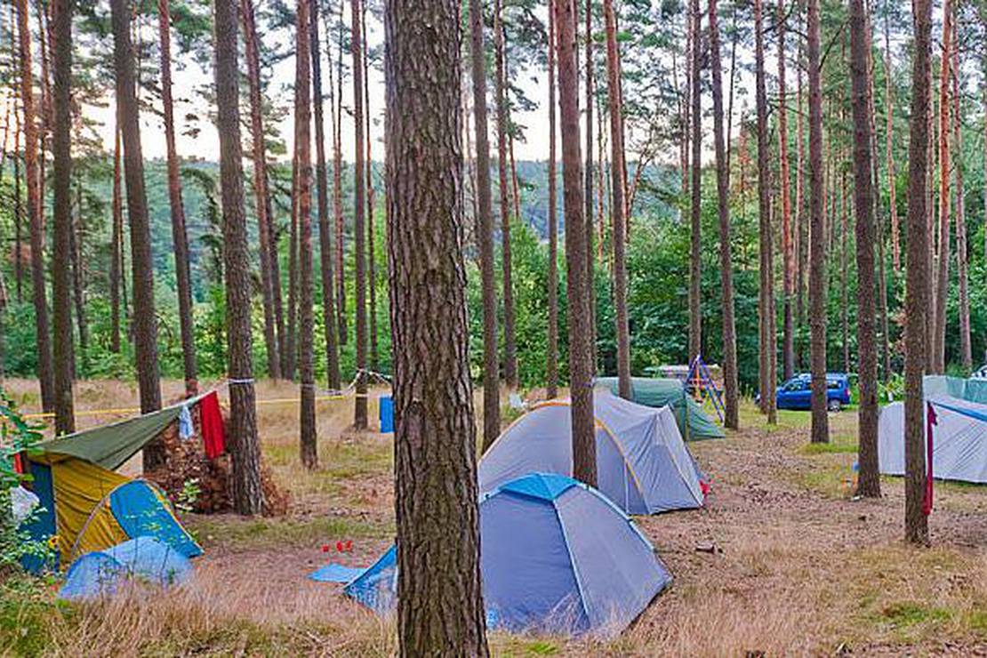 Naturcampingplatz am Roofensee e. V. 3
