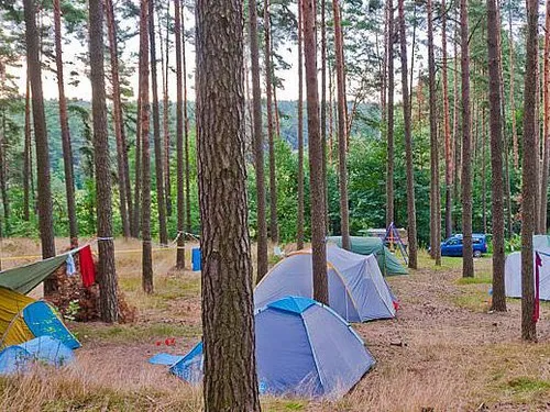 Naturcampingplatz am Roofensee e. V. 2