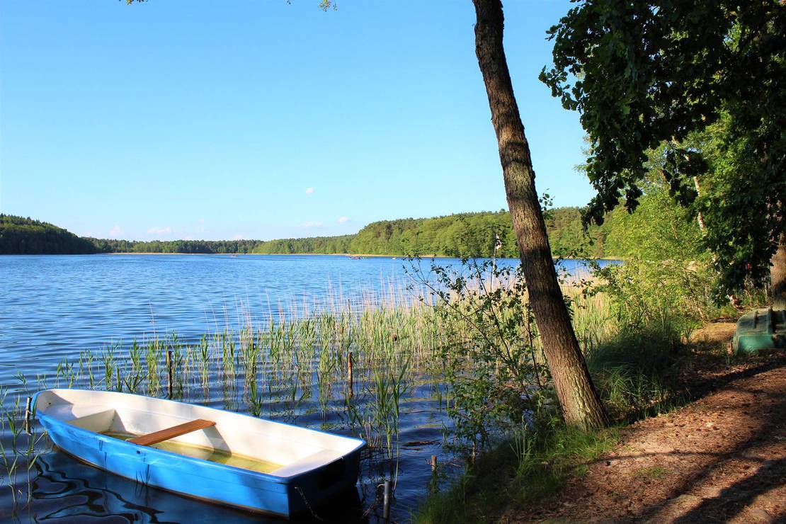Naturcampingplatz am Springsee 5