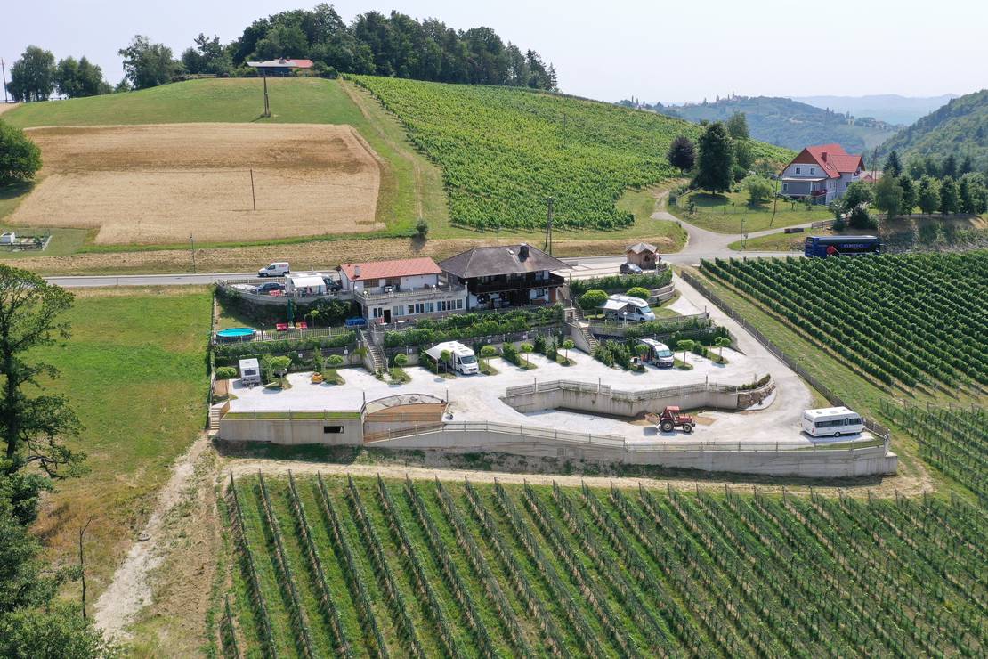 Weinberg Panorama Camping 6