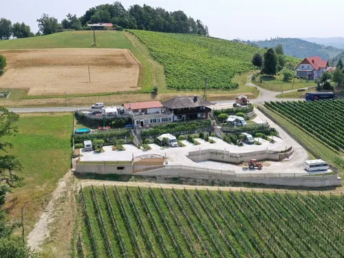 Weinberg Panorama Camping 5