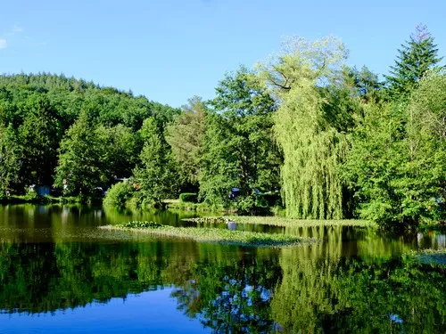 Naturresort Waldglück 5