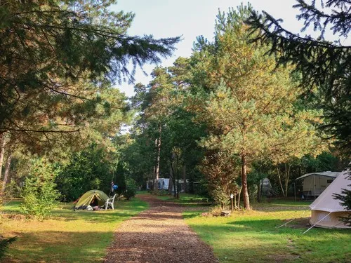 Natuurcamping Fazantenhof 8