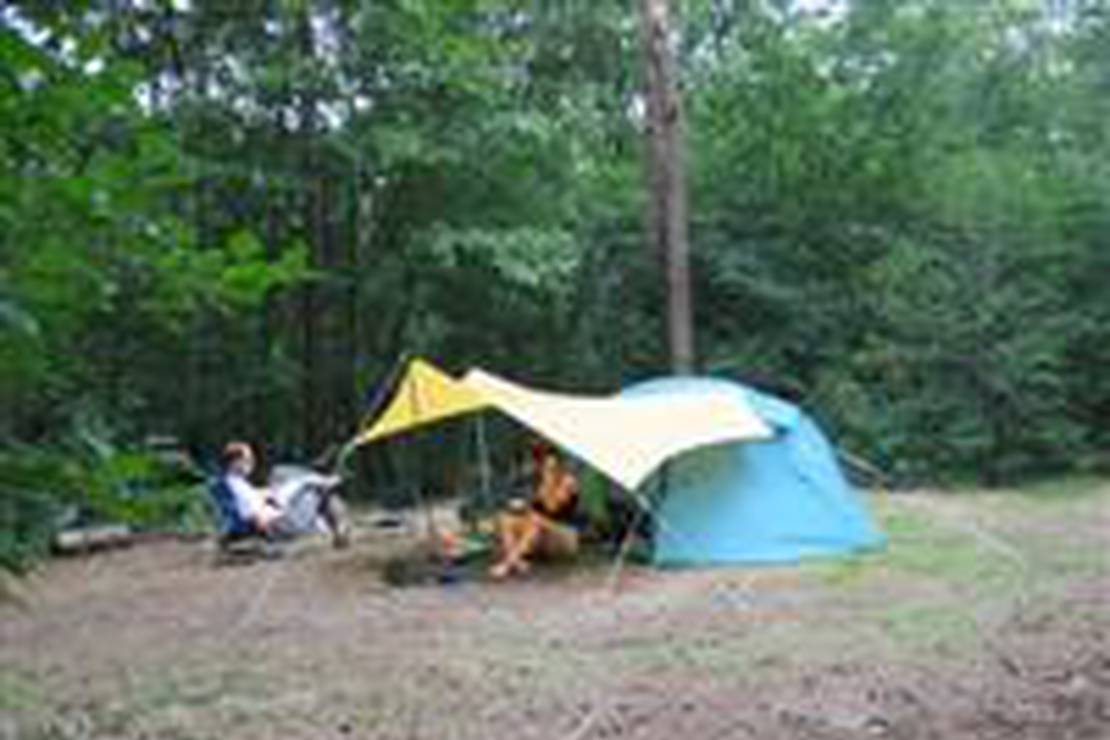 Natuurkampeerterrein Bergvlietse Bossen 4