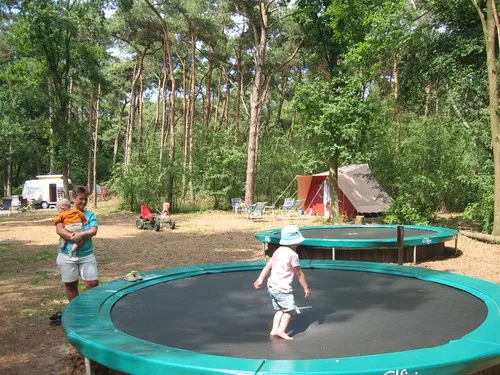 Natuurkampeerterrein Bergvlietse Bossen 5
