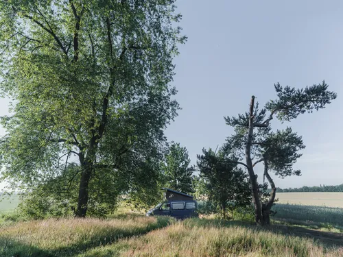 Natuurcamping Quadenoord 3