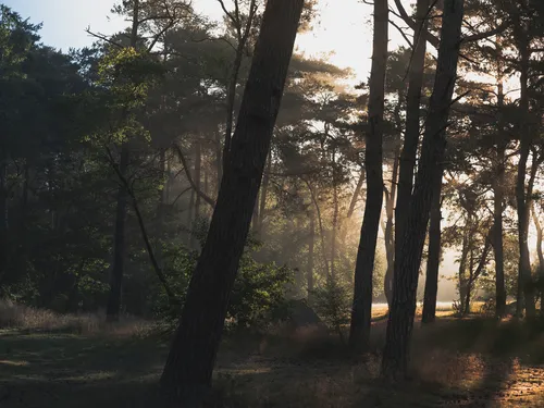 Natuurcamping Quadenoord 5