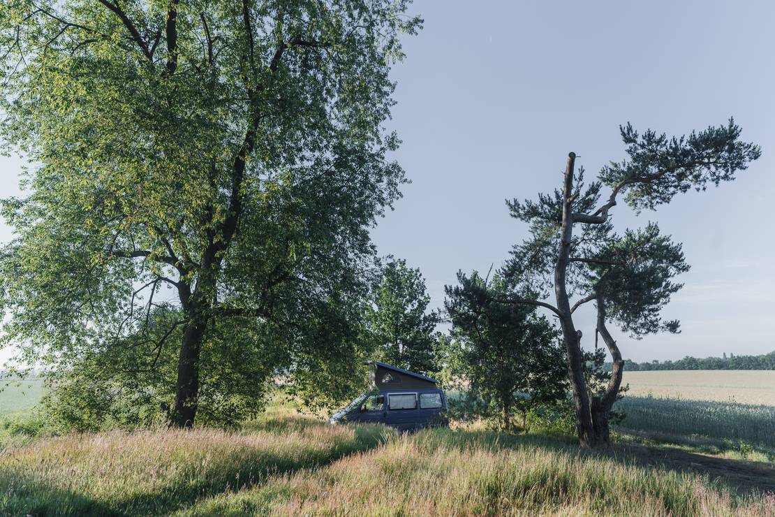 Natuurcamping Quadenoord 4