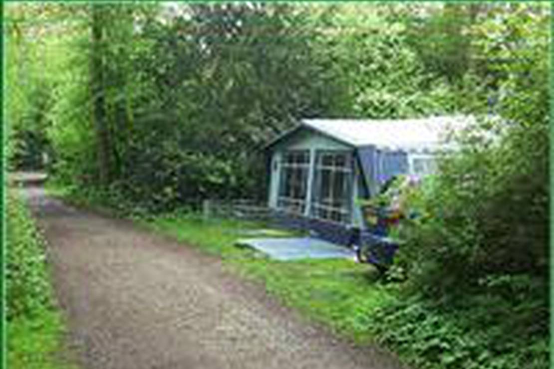 Natuurkampeerterrein Schoonenberg 5