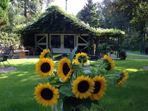 Natuurkampeerterrein Voscheheugte 3