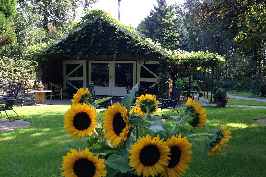 Natuurkampeerterrein Voscheheugte 4