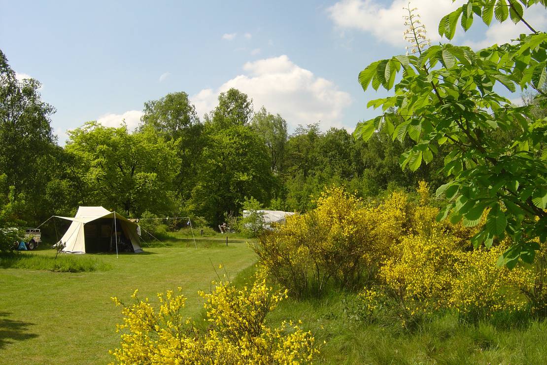 Natuurkampeerterrein Wega 4
