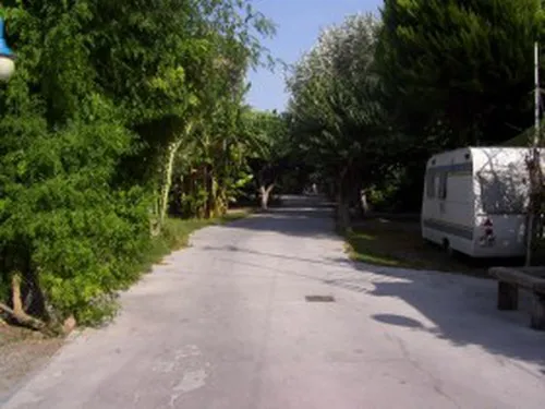 Nuevo Camping la Herradura 4