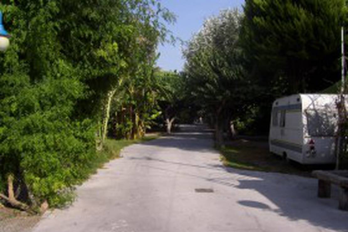 Nuevo Camping la Herradura 5
