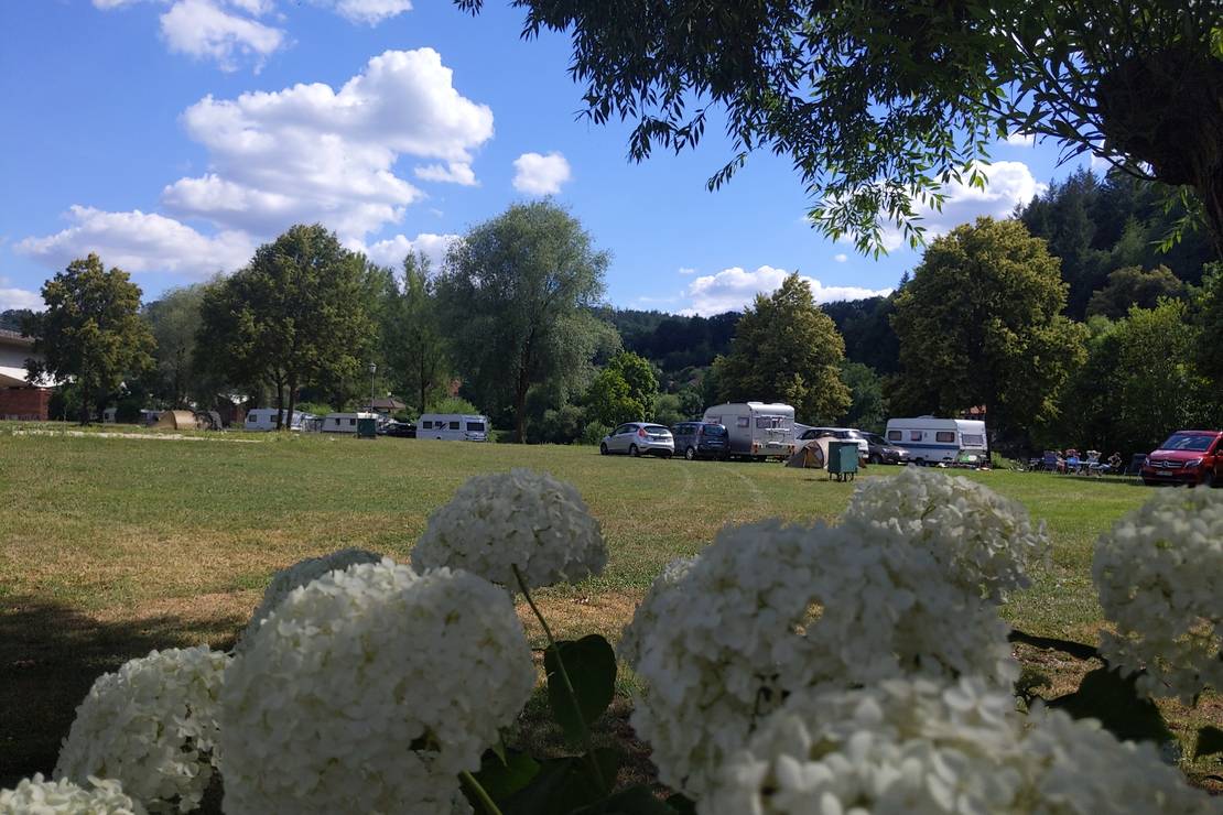 ODENWALD river camp - Campingplatz Neckargerach 4