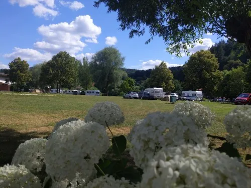 ODENWALD river camp - Campingplatz Neckargerach 3