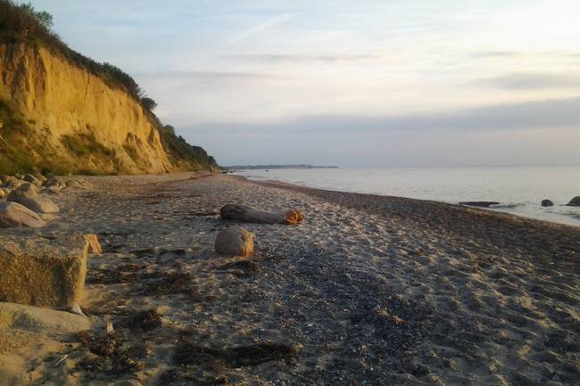 Hundestrand
