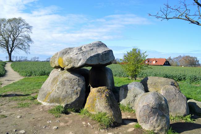 Ein Dolmengrab ca. 1 Km vom Campingplatz enfernt auf den Weg richtung Rerik.