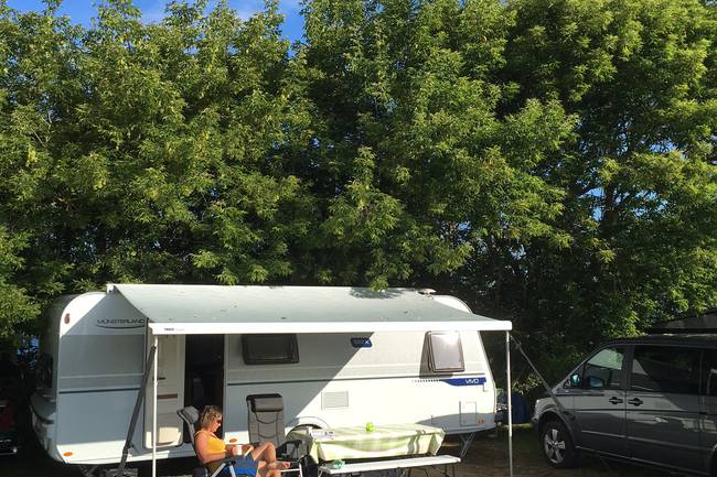 Stellplatz C 283 direkt an der Steilküste 
