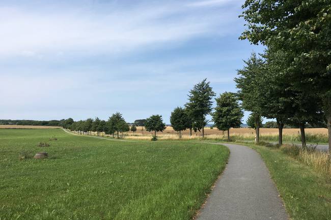 Schöne Radwege in der ganzen Region