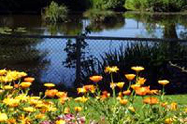 Oxon Hall Touring Park image 1