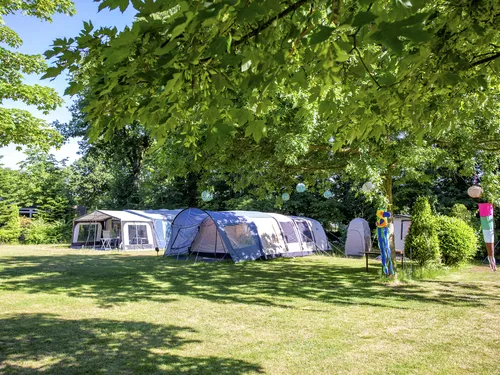 ParcCamping de Witte Vennen 6
