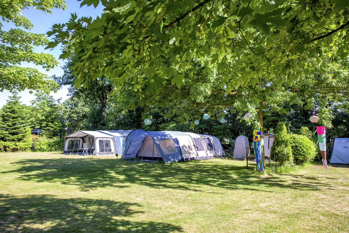 ParcCamping de Witte Vennen 7