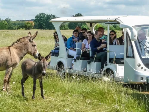 Parco Rurale Alture di Polazzo 5