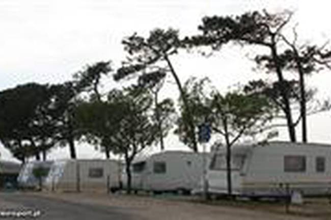Parque de Campismo da Praia do Pedrógão image 0