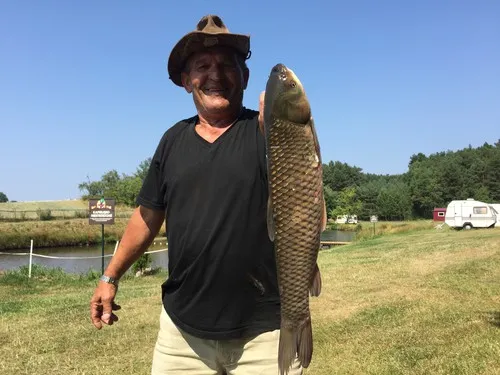 Ranchokimana & Camping 8