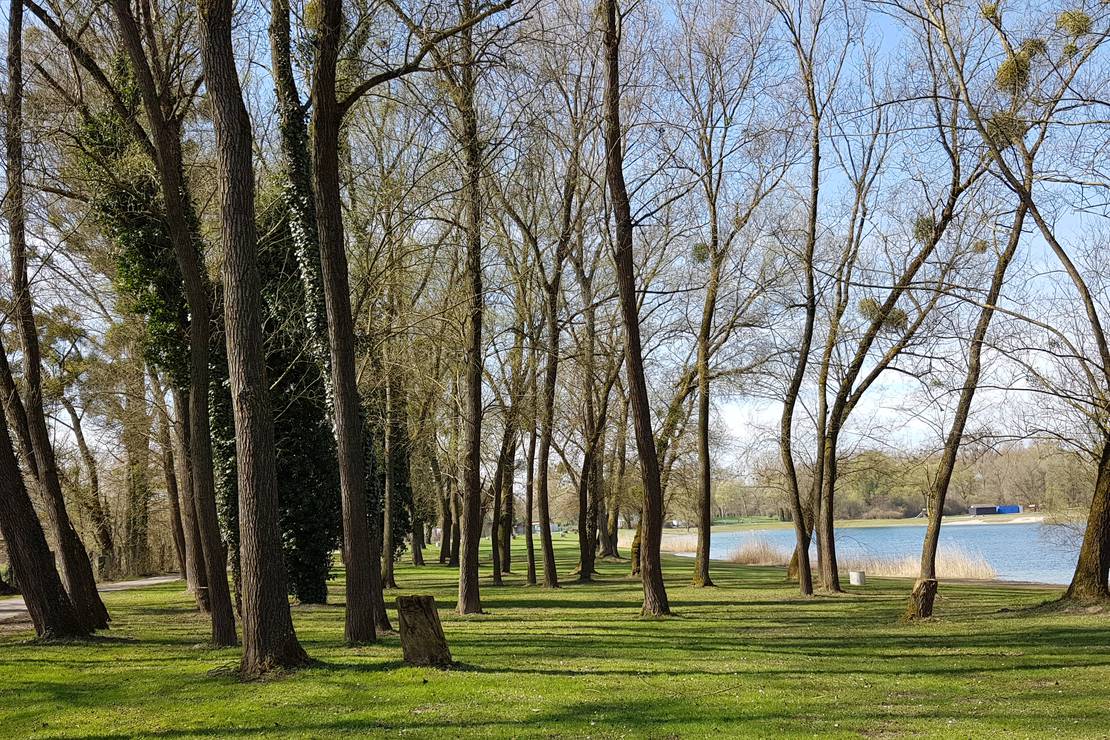 Rastatter Freizeitparadies 8