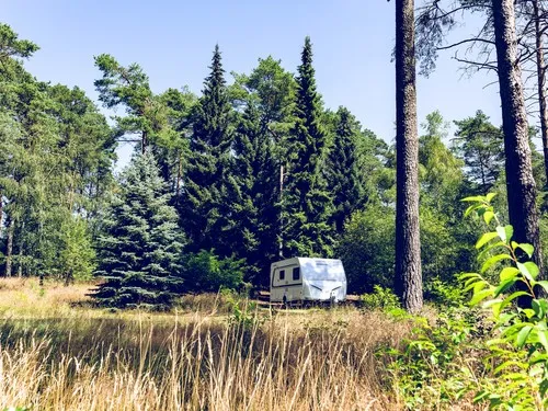 Regenbogen Egestorf 7