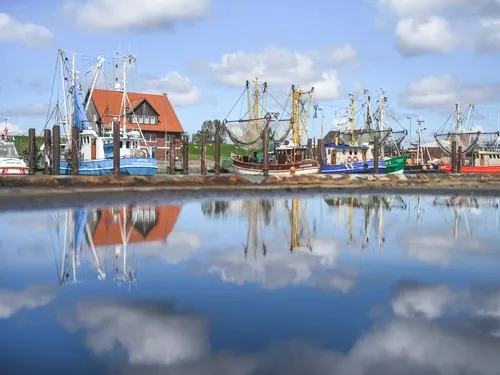 Regenbogen Fedderwardersiel 4