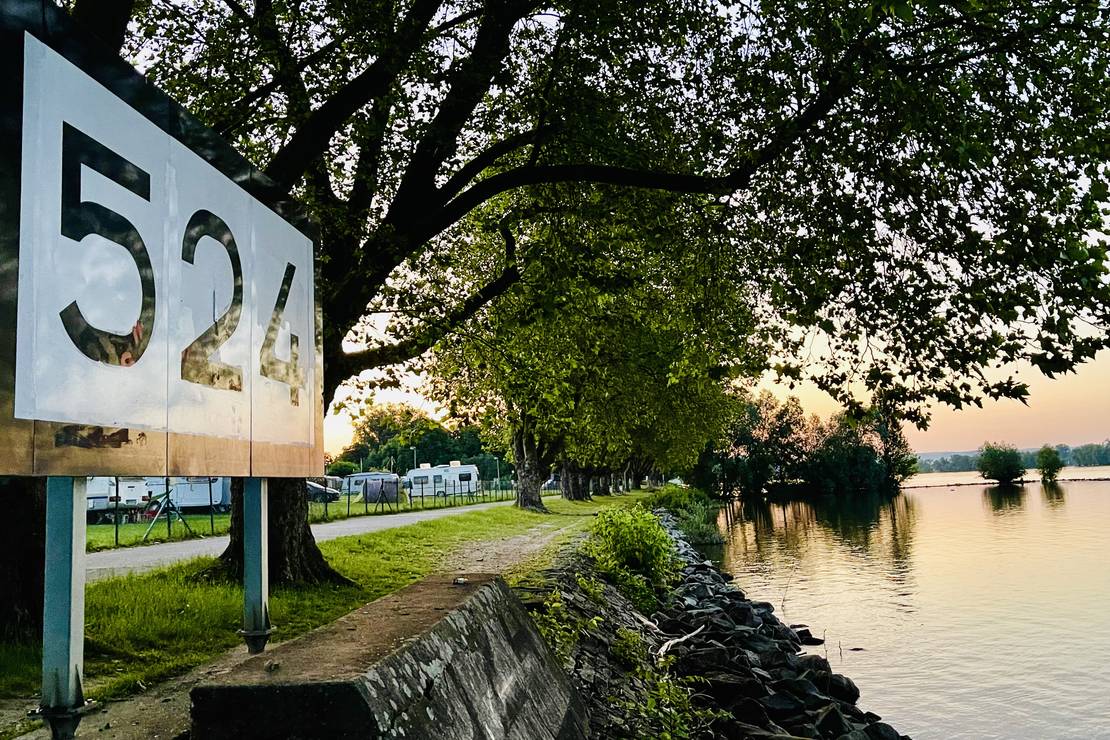 Rheingaucamping Geisenheim 8
