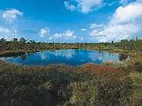 Rhön Camping-Park 6