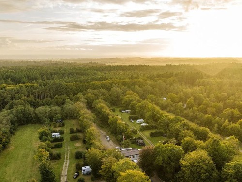 Ringkøbing Camping image 1