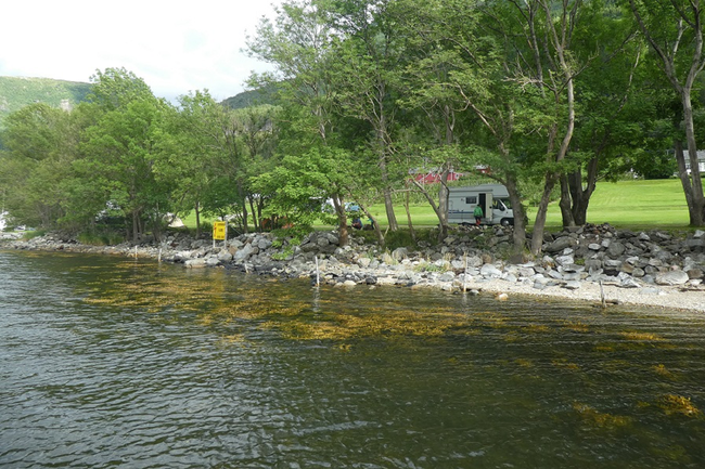 Plätze in der 1. Reihe direkt am Wasser