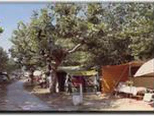 Club del Sole Romagna Family Resort 7