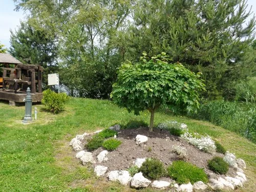 Sárberki Horgásztó és Camping 5