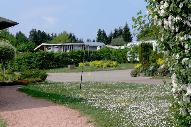 Frühling